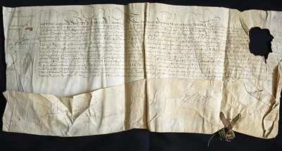 KING HENRI IV AND MARTIN RUZE DE BEAULIEU SIGNED ROYAL PATENT OF PRIVILEGE 1596 - Image 1 of 4