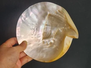 Vintage Mother of Pearl Large Oyster Shell Footed Bowl/ Dish 6.75"x6.6" - Picture 1 of 11