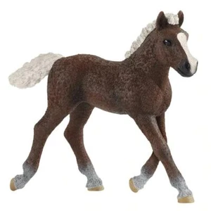 Schleich 13899 Black Forest Foal - 2020 Schleich Figure - Picture 1 of 1