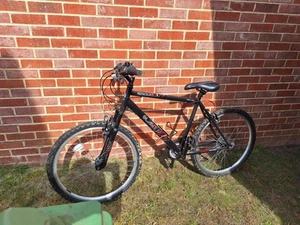 Women's Mountain Bike - Picture 1 of 5