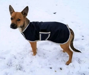 Horseware for One Stop Exclusive Dog/Rug Coat Navy/Tan/White XL New - Picture 1 of 4