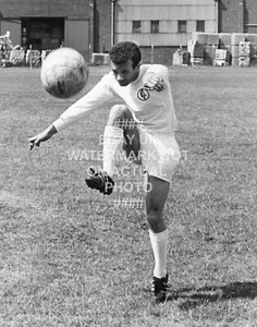 1969 PAUL REANEY LEEDS UNITED PHOTO PRINT UTD LUFC ELLAND ROAD FULLERTON PARK - Picture 1 of 1