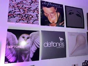 6 deftones records (white pony, around the fur, adrebaline, diamond eyes +2 more - Picture 1 of 2