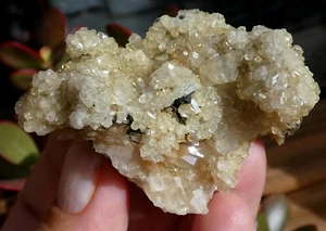 TOP verschiedene Kristallisationen von Calcit & Goethit El Hammam 5,5x4cm Marokko - Bild 1 von 11