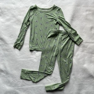 Little Me Kids Pajama Set 4T Green Zebra Print Bamboo Viscose Long Sleeve Pants - Picture 1 of 7
