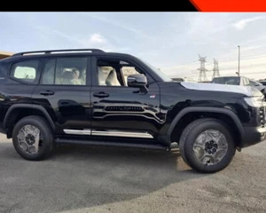 Body Side Trim Cover for Toyota Land Cruiser 2022 2023 Chrome Molding Trim - Picture 1 of 8