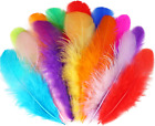 Colorful Craft Rooster Feathers - 300Pcs 3-5Inch Colored Feathers Bulk for Kinde