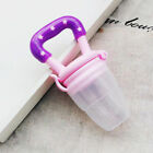 Baby Fruit Feeder Pacifier (2 Pack) / Fresh Food (3-12 Months)