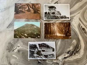 FIVE AMAZING Unused Vintage MT. Tamalpais Muir Woods RPPC Postcards - Picture 1 of 7
