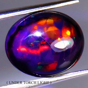 Oval Natural AAA Floral Flash Play Of Color Black Opal 2.85ct 12x10mm Gemstone - Picture 1 of 14