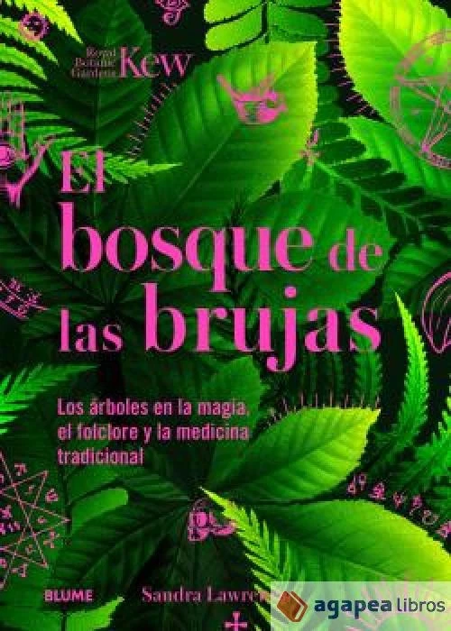 Bosque de las brujas. NUEVO. ENVÍO URGENTE (Librería Agapea) - Imagen 1 de 1