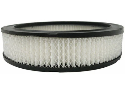 For 1973-1975 Pontiac Grand Am Air Filter AC Delco 88491GBHQ 1974 Gold -- New - Image 1 of 2
