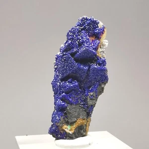 6,04 g RARA Azurita sobre Fluorita / Aouli, Marruecos / Espécimen Mineral Cristal Áspero - Imagen 1 de 15