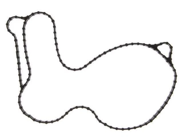 Junta de bomba de agua Mahle 88147NYYF 2013 2014 2015 2016 para Lincoln MKT 2012-2019 Foto 1 de 2