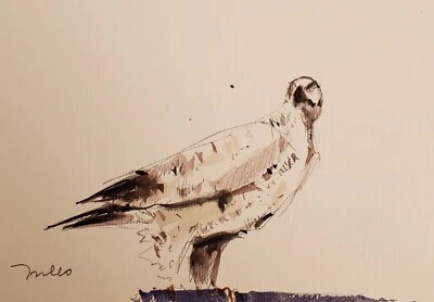 Коллекционная ОРИГИНАЛЬНАЯ акварельная картина ХОЗЕ ТРУХИЛЬО птица-ястреб с сертификатом подлинности - Изображение 1 из 4