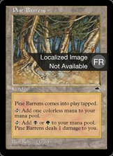 1X Pine Barrens - Tempest - French, NM/EX MTG CARD