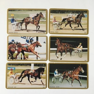 6 Horse Playing Cards Australian Racehorse Thoroughbred Race Horse Swap Cards - Picture 1 of 2
