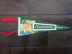 Vtg Cranbrook British Columbia Mini Pennant Felt Banner 1960's Canada Souvenir - Picture 1 of 4