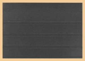 10 LINDNER 774 Hart PVC Steckkarten Einsteckkarten A5 4 Streifen 30 mm Höhe - Picture 1 of 3