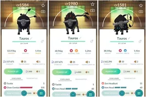 Paldean Tauros (Blaze/Combat/Aqua) | Tr-de 20k stardust - Picture 1 of 4