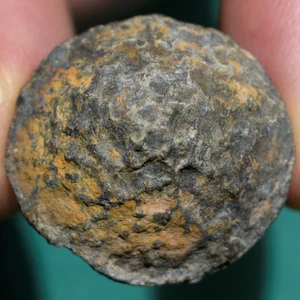 Coral Fossil, Striatopora missouriensis, Rare Tabulate Coral, Bolivia Devonian - Picture 1 of 10