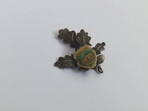 Vintage Germany Arberseehaus Climbing MOUNTING Old Pin Badge - Picture 1 of 5
