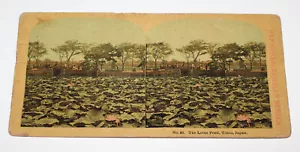 Antica Stereoview Lo Stagno del Loto Tokyo Giappone CST1 - Foto 1 di 4