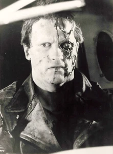 PHOTO CINEMA ARNOLD SCHWARZENEGGER TERMINATOR PRINT SILVER HD 24x18 CM - Picture 1 of 2
