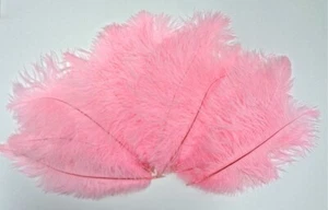 Candy Pink Ostrich Feather 8-12 inch size per SIX (6) - Picture 1 of 1