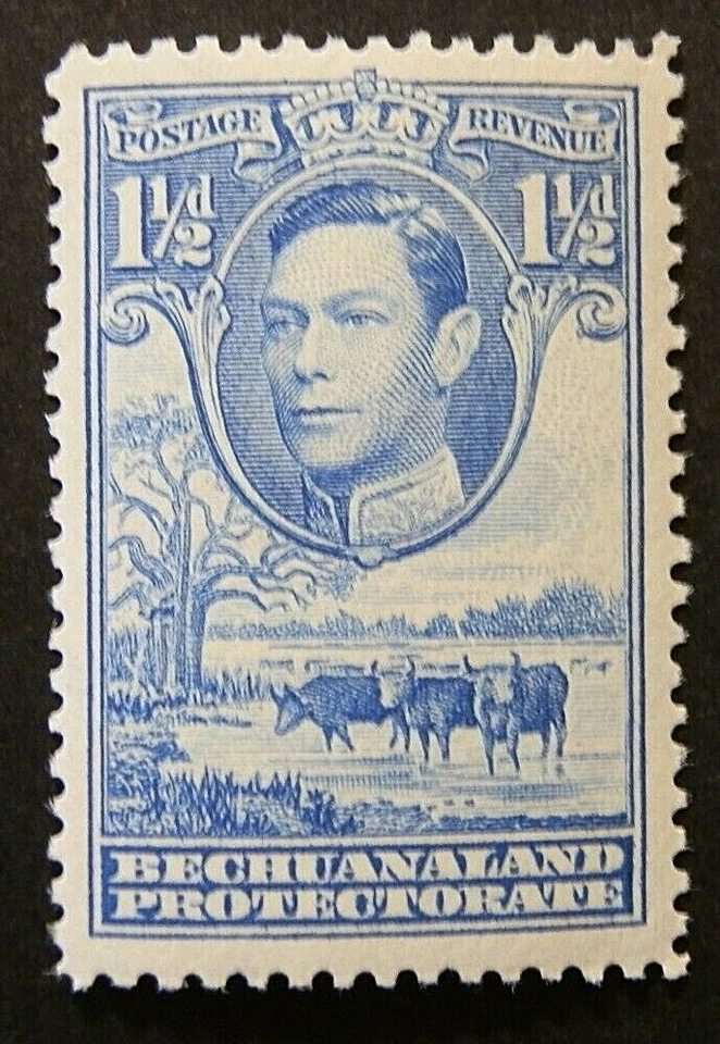 BECHUANALAND PROCTECTORATE 1943 SG120a. KGVI 1½d. LIGHT BLUE  -  MNH - Image 1 of 1
