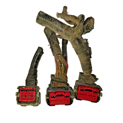 Conector coleta de alambre - Ford F150 5,4 L ECM ECU 4L3A-12A650-AHJ - OEM - ENVÍO RÁPIDO Foto 1 de 4