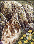 US #4198g MNH 2007 White-tailed Ptarmigan Lagopus leucura [Mi4307 YT3985]