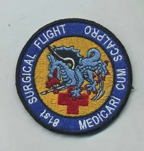 Excellent 81st Surgical Flight Patch - Picture 1 of 1