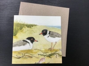 Hooded Plover Greeting Card - Bridget Farmer - Picture 1 of 2