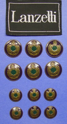 12 LANZETTI PURPLE/GREEN ENAMEL BRONZE TONE METAL JACKET BUTTONS, UNIQUE LOOKING - Image 1 of 4
