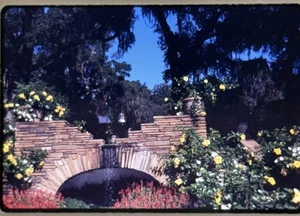 1960’s Bellingrath Gardens Grotto Fountain Flowers MCM 7 Slides 35mm 1968 Lot - Picture 1 of 10