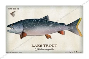 Trout,Lake,Fly,Fishing,Flies,fish,Angler,lure,reel,Salmon,river,fly - Picture 1 of 11