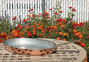 Williams-Sonoma Copper 14" Fish Pan w/ tin lining, Made in France - Picture 1 of 5