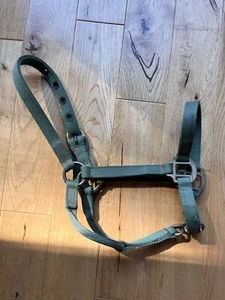 Buszka Adjustable Nose Green Foal Halter - Picture 1 of 2