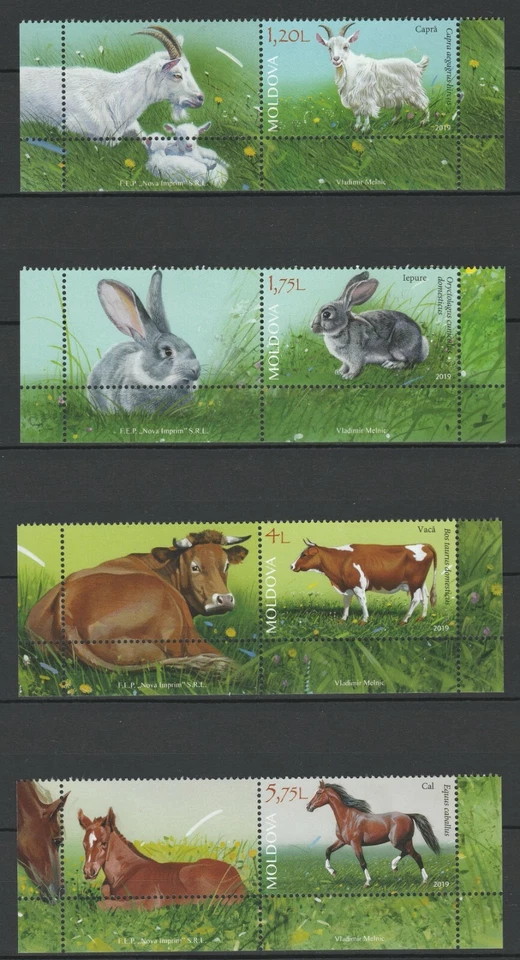 Moldova 2019 Domestic Animals, Cow, Horse, Goat, Rabbit 4 MNH stamps + labels - Image 1 of 1