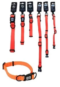 Klick Halsband Jagdhund Halsung Hund Signalband orange - Bild 1 von 5