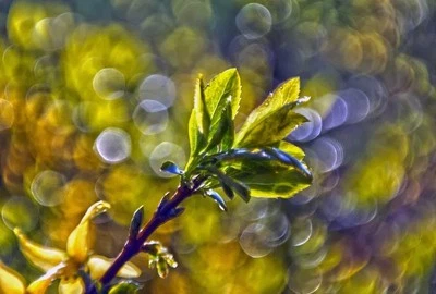 📸Modified Helios 44M-4 with Trioplan-Style Bubble Bokeh | Vintage Soviet Lens - Image 1 of 4