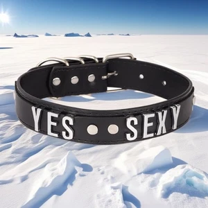 Choker Collar BDSM Gift Custom DIY PREY Personalized Letter Gothic Punk Necklace - Picture 1 of 18