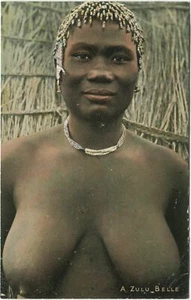 Postal de Sudáfrica A ZULÚ BELLA, ÉTNICA DESNUDA -  - Imagen 1 de 2