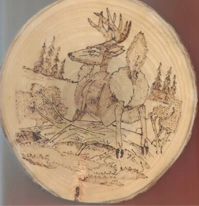 Ciervo cola blanca arte quemado madera - Imagen 1 de 1