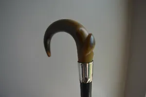 Victorian Hallmarked Ebonised Horn Handle Walking Stick - Picture 1 of 5