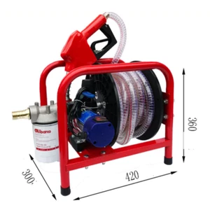 NEW Diesel Electric Pump 12V/24V/220V Volt Pump self-priming Pump Refueling Gun - Picture 1 of 23
