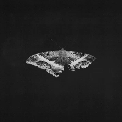 Kendrick Lamar To Pimp A Butterfly (10 Year Anniversary Edition) - Alternate Art - Image 1 of 2