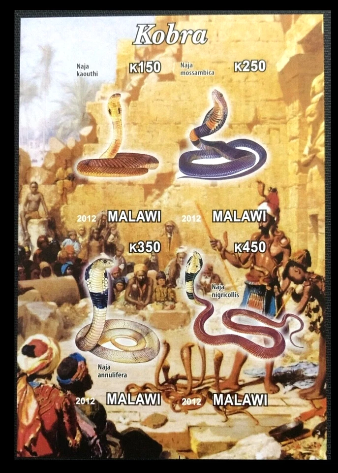 123. MALAWI 2012 IMPERF STAMP M/S SNAKES . MNH - Image 1 of 1