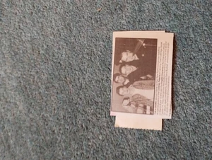 Sk234 Ephemera 1990 Musik Artikel Die 4 Skins - Bild 1 von 1